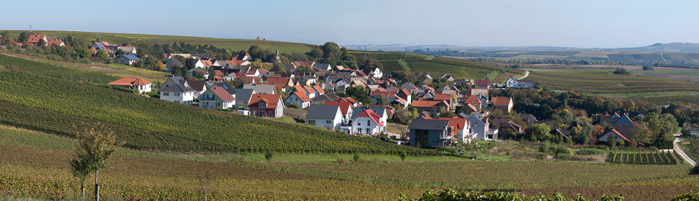 Fotofreunde Alzey e.V.