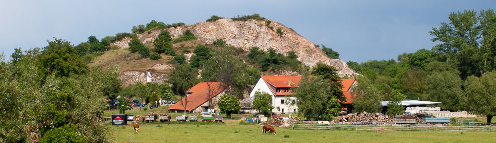 Fotofreunde Alzey e.V.