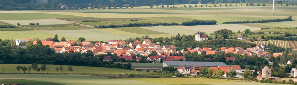 Fotofreunde Alzey e.V.