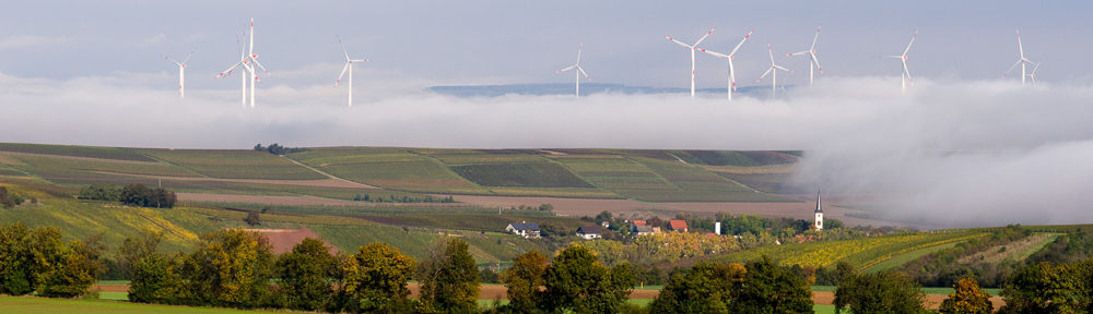 Fotofreunde Alzey e.V.